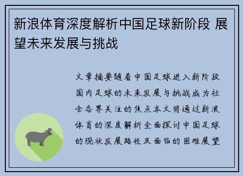 新浪体育深度解析中国足球新阶段 展望未来发展与挑战