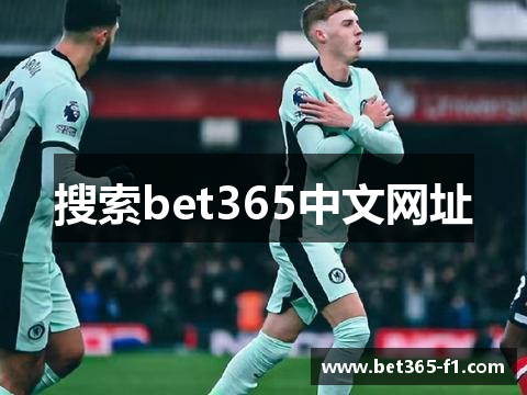 搜索bet365中文网址
